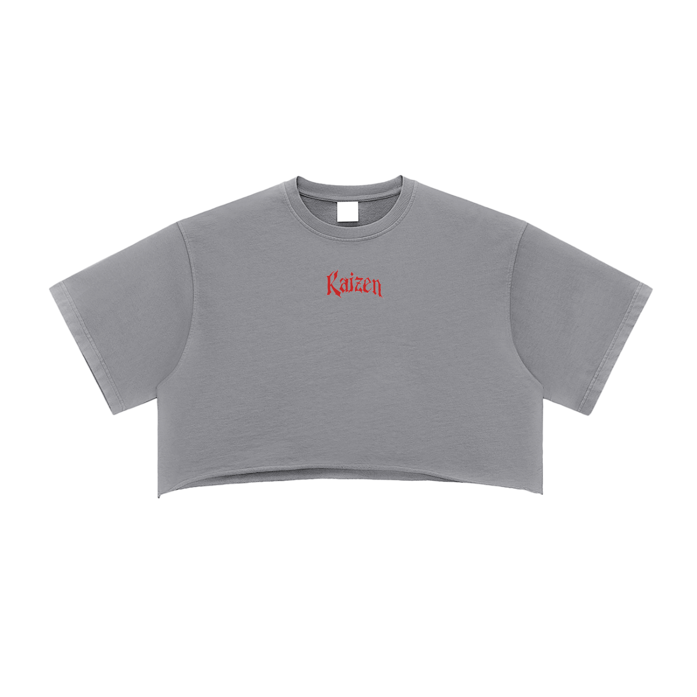 Kaizen Discipline Vintage Crop Top