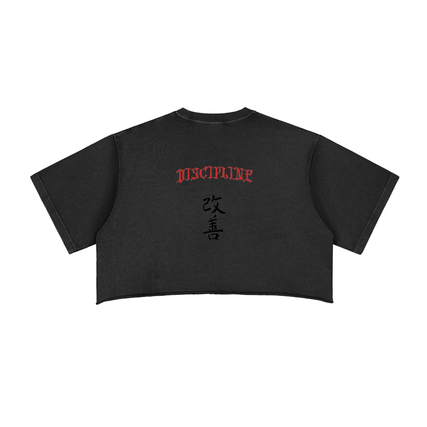 Kaizen Discipline Vintage Crop Top