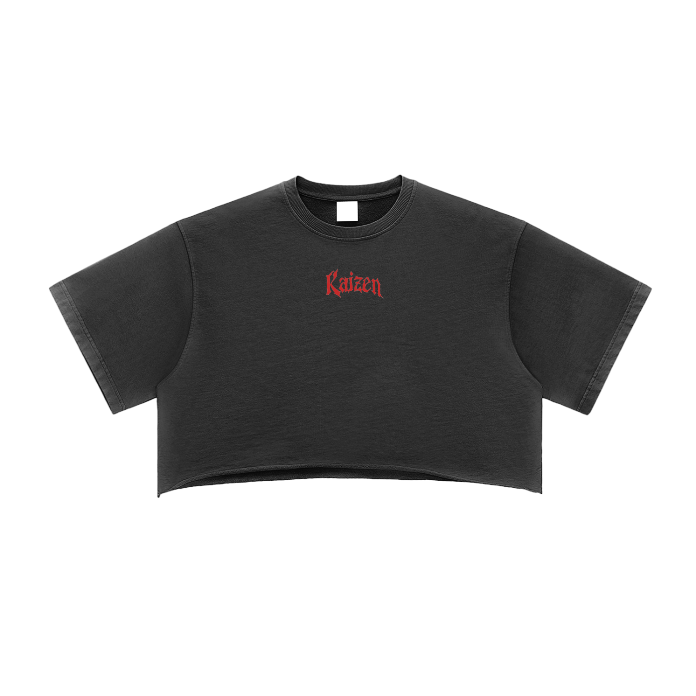 Kaizen Discipline Vintage Crop Top